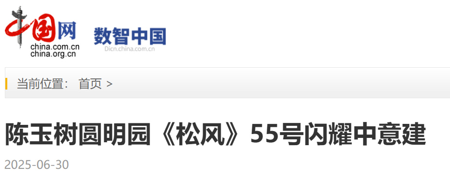 中国网截图.jpg